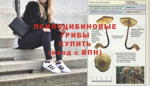 МДМА Волосово