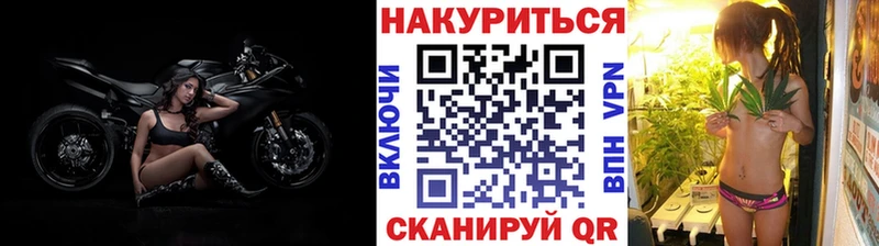 Купить  Елец  Конопля SATIVA & INDICA 